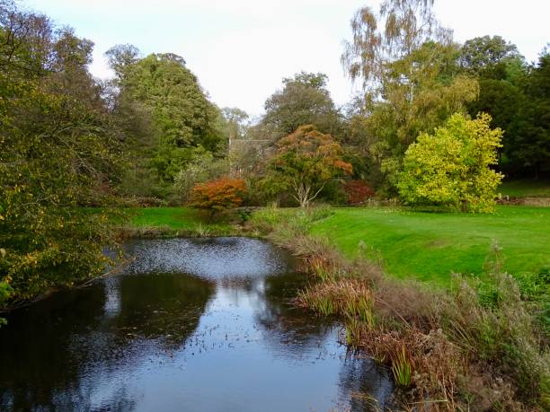 istock Autumn colours by a lake 1439008685