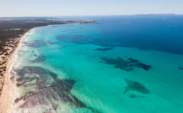 istock High angle shot of the beach surrounded by the ocean 1439011011