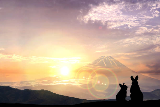 biglietto di capodanno-siluetta di un uomo d'affari che salta, il monte fuji e la prima alba - isola di honshu foto e immagini stock