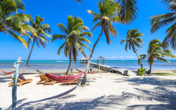 ak'bol yoga retreat und eco-resort in ambergris caye, belize. - color image travel locations sports and fitness nature stock-fotos und bilder