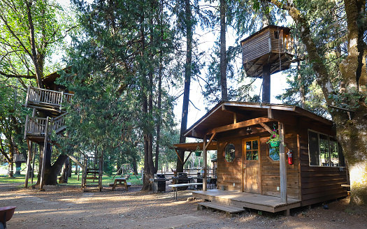Cave Junction, Oregon, United States – July 12, 2019: Cave Junction, Oregon - July 2019:  Out'N'About Treehouse Treesort, built by Michael Garnier, is a unique lodge in the Southern Oregon forest.