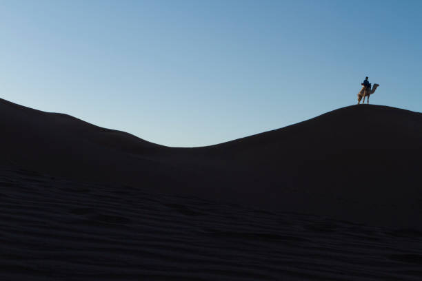 砂丘の上に立つラクダを持つ人のシルエット - desert landscape morocco sand dune ストックフォトと画像