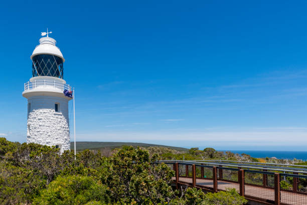 istock Cape Naturaliste Lighthouse surrounded by trees in Australia 1439018373