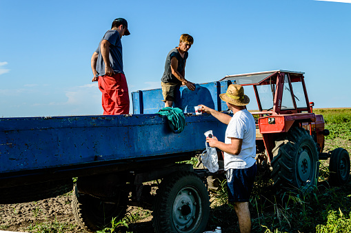 A Group of Farmers in the Field is Taking a Break after Agricultural Work and Refreshing with a Fresh Water.