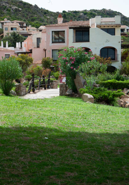 istock Sardinia Landscape Smooth cow 1439023161