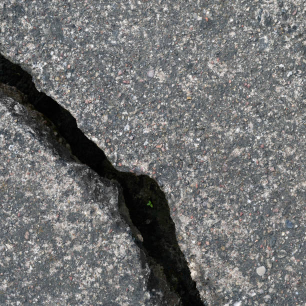 istock Old aged weathered cracked grey black tarmac texture pattern, large detailed damaged textured asphalt grungy background flat lay, tiny green leaves, shoots, sprouts, vertical rough grained broken pattern macro closeup grunge copy space 1439023660
