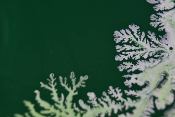 istock Closeup shot of oil paint on h water surface looking like tree branches 1439026079