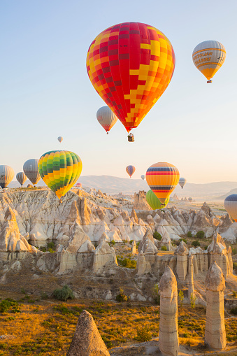 Five colorful balloons in the air over the plains. Balloons in the air over the plains.