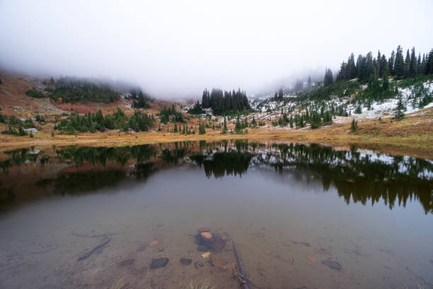 istock Naches Peak Trail Mount Rainier National Park 1439030837