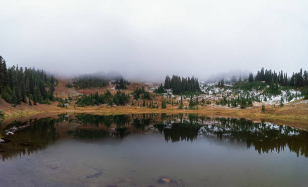 istock Naches Peak Trail Mount Rainier National Park 1439030844