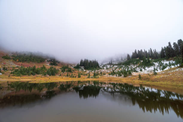 istock Naches Peak Trail Mount Rainier National Park 1439030845