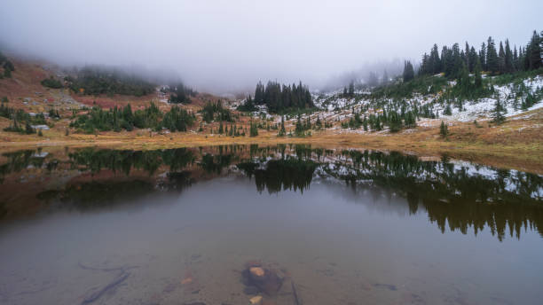 istock Naches Peak Trail Mount Rainier National Park 1439030884