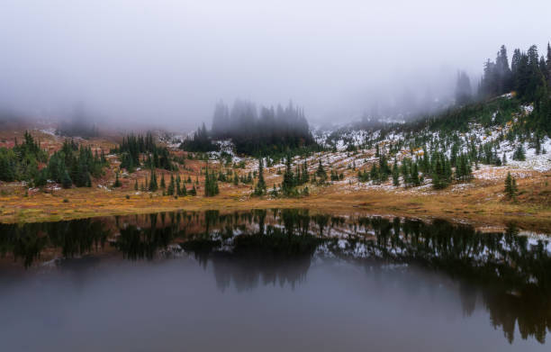 istock Naches Peak Trail Mount Rainier National Park 1439030885