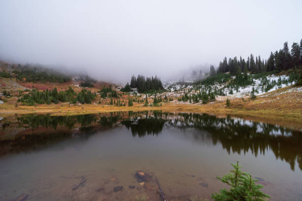 istock Naches Peak Trail Mount Rainier National Park 1439030908