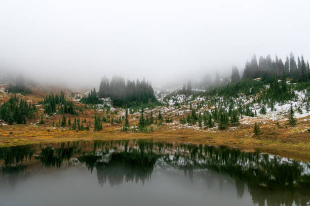 istock Naches Peak Trail Mount Rainier National Park 1439030915