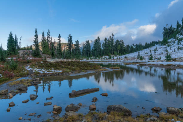 istock Naches Peak Trail Mount Rainier National Park 1439030963