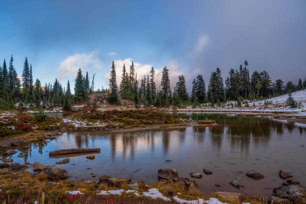 istock Naches Peak Trail Mount Rainier National Park 1439031047