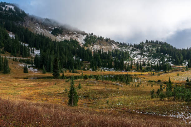 istock Naches Peak Trail Mount Rainier National Park 1439031048