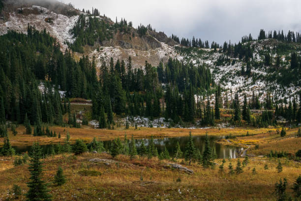 Naches Peak Trail Mount Rainier National Park
