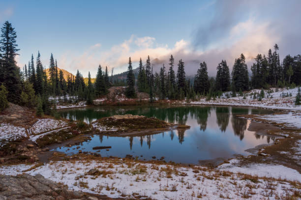 istock Naches Peak Trail Mount Rainier National Park 1439031072