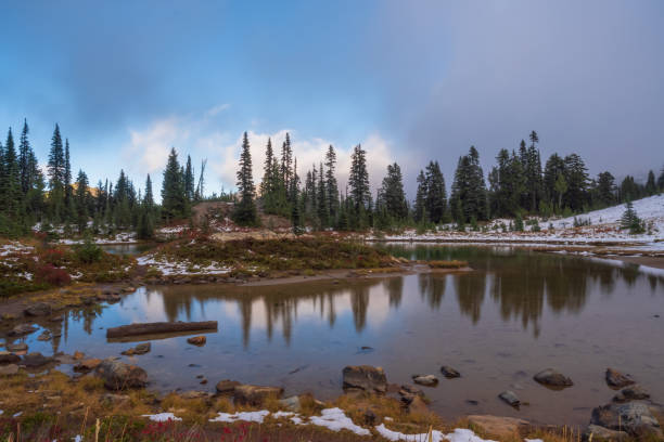 istock Naches Peak Trail Mount Rainier National Park 1439031075