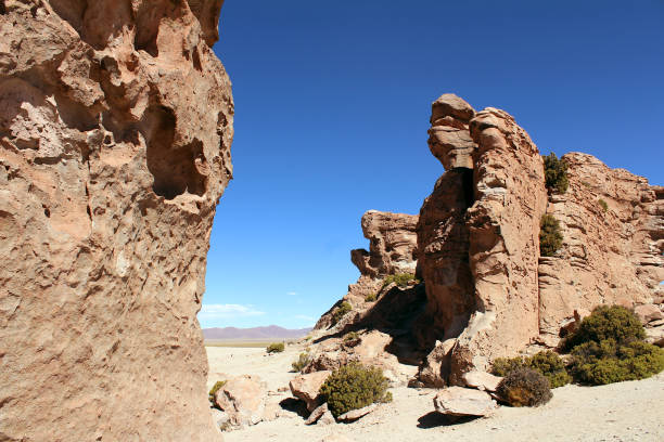 The famous stone tree rock formation (Arbol de Piedra) in the Siloli desert in the region of the Uyuni Salt Flat, Bolivia in South America