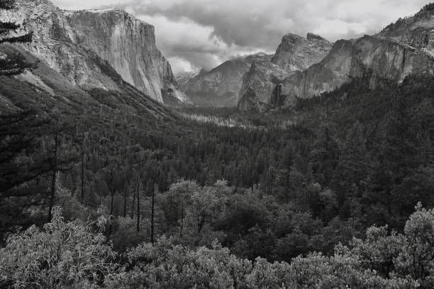 istock Yosemite National Park 1439036116