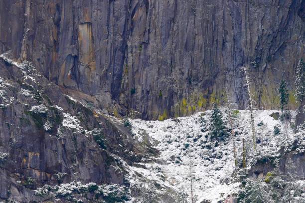 istock Yosemite National Park 1439036168