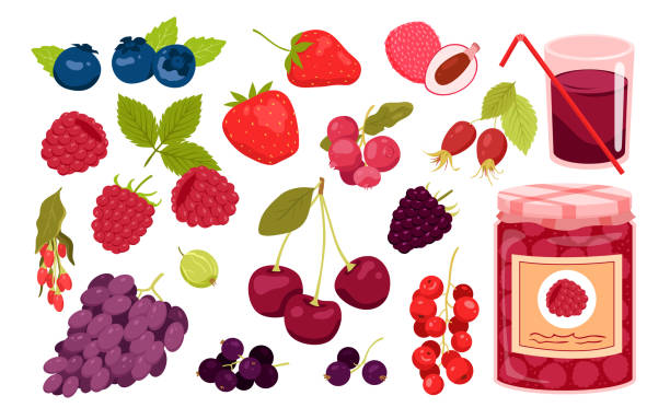 illustrations, cliparts, dessins animés et icônes de fruits et feuilles de baies, branche avec fraise et cerise, myrtille, framboise - grape nature design berry fruit