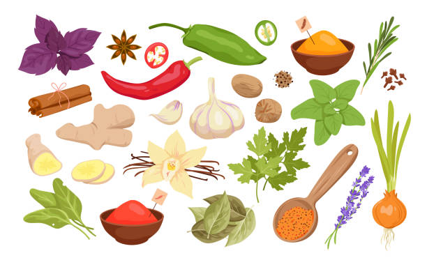 Spices, herbs and seeds set for cooking food, isolated fresh and dry seasoning collection Spices, herbs and seeds set for cooking food vector illustration. Cartoon isolated fresh and dry seasoning collection with cinnamon pepper basil ginger garlic parsley turmeric vanilla anise bay leaf bay cartoon stock illustrations
