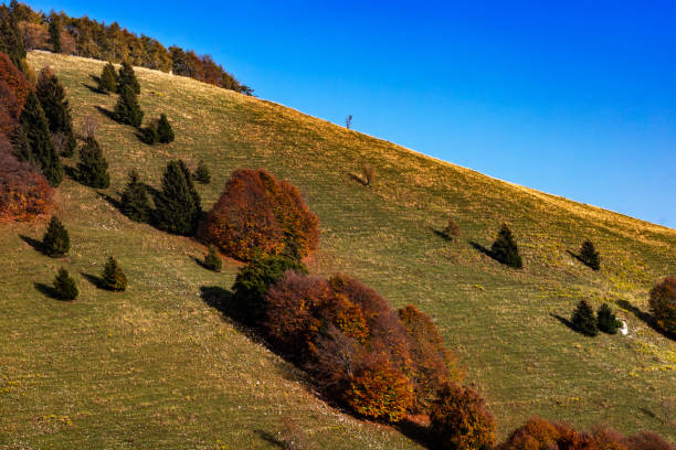 istock Autumn colors of Monte Baldo 1439039825