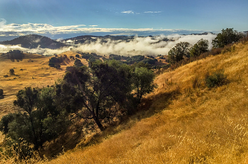 Early morning mist and fog at Cronan Ranch Regional Trails, California Gold Country.