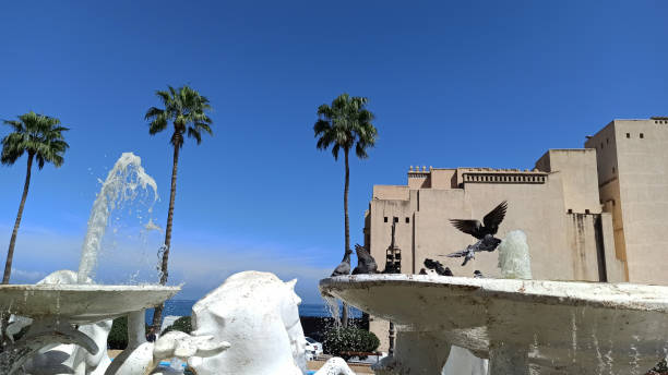 Tour the streets of Algiers