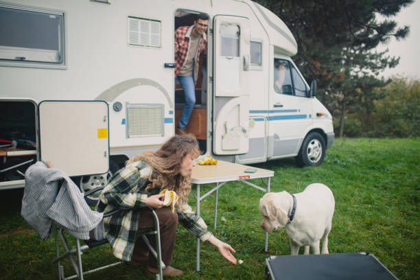 istock A man, a woman and a dog enjoy a beautiful day while camping 1439053683