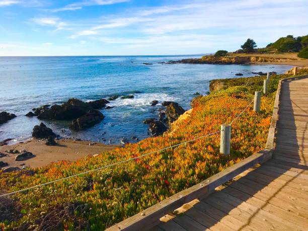 istock Central California Coastline 1439060263