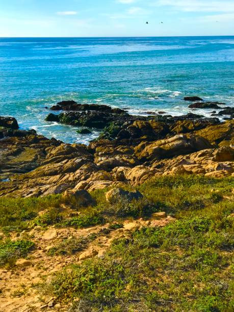 istock Central California Coastline 1439060318