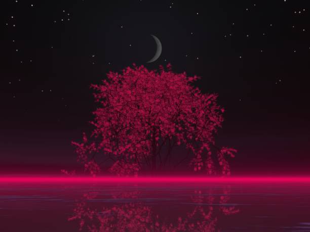 istock Fantastic landscape of Moon and Maple tree 1439063134