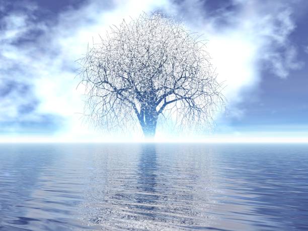 istock Fantastic landscape of Clouds and Giant tree 1439063367