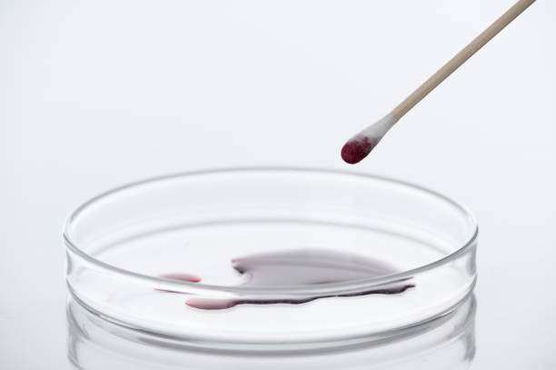 primo piano del tampone del sangue o del liquido rosso sulla capsula di petri nel laboratorio medico - analisi e concetto diagnostico - su sfondo bianco - petri dish medical equipment syringe vaccination foto e immagini stock