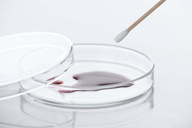 primo piano del tampone del sangue o del liquido rosso sulla capsula di petri nel laboratorio medico - analisi e concetto diagnostico - su sfondo bianco - petri dish medical equipment syringe vaccination foto e immagini stock