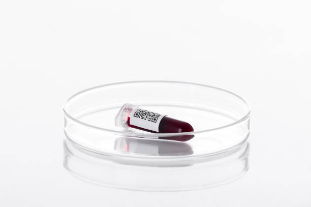 provetta per campioni di sangue o liquido rosso su una capsula di petri in laboratorio- analisi e concetto diagnostico - su sfondo bianco - petri dish medical equipment syringe vaccination foto e immagini stock