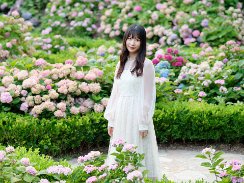 Beautiful woman in white dress posing in colorful hydrangea flowers field, charming Chinese girl with black long hair enjoy her leisure time outdoor.