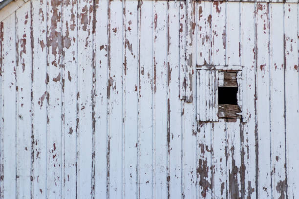 100年前の納屋の壁とドア、白いペンキが剥がれている - peeling paint wall white ストックフォトと画像