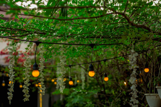 istock Lights on an outdoor cafe 1439077795