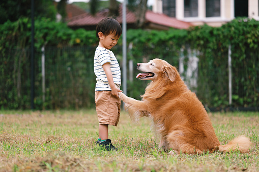 Portrait of an Asian little boy handshake with his dog in park