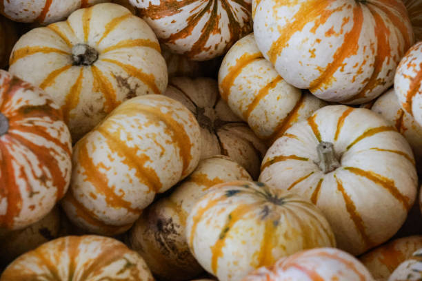 istock Miniature pumpkin and gourdes for fall display 1439088321