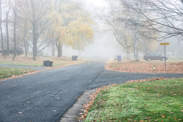 Foggy, quiet, November early morning with falling and fallen late autumn leaf color leaves scattered everywhere in a calm suburban residential district neighborhood on garbage pick-up day for many residents.