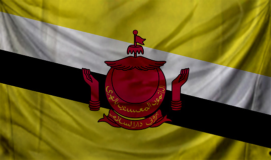 Brunei flag waving Background for patriotic and national design
