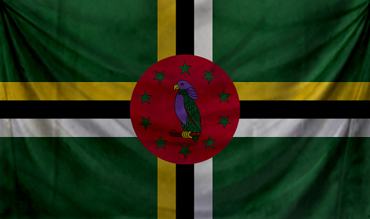 Dominica flag waving Background for patriotic and national design