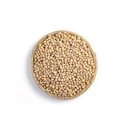 Soy Beans (Dried Soya Beans, Food Grain). Soybean Grain in threshing basket